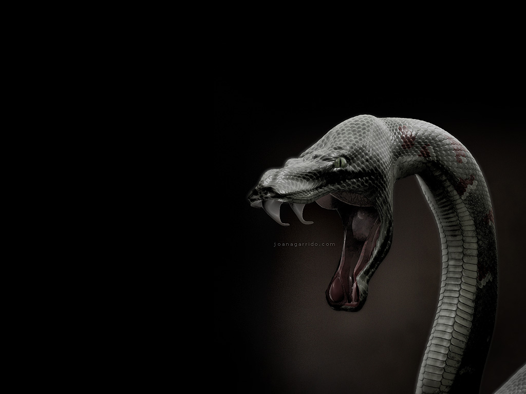Dark fantasy 3d creative models