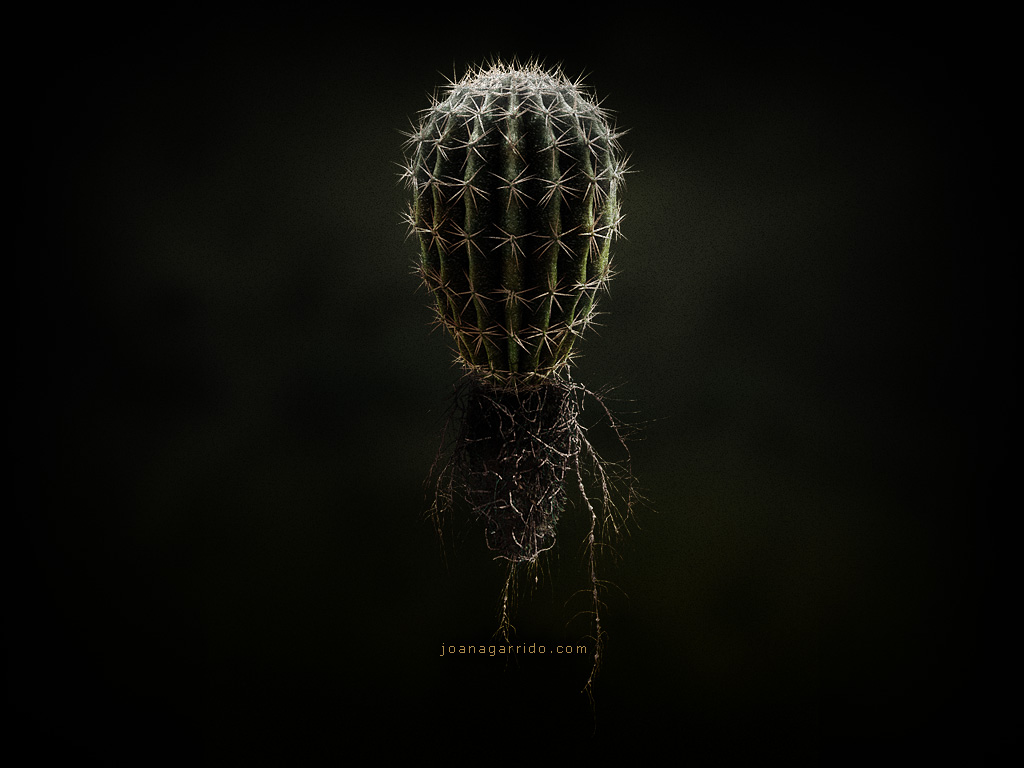 Dark fantasy 3d creative models