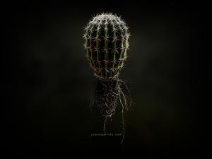 modern digital artwork samples - 3d surrealism fantasy art image