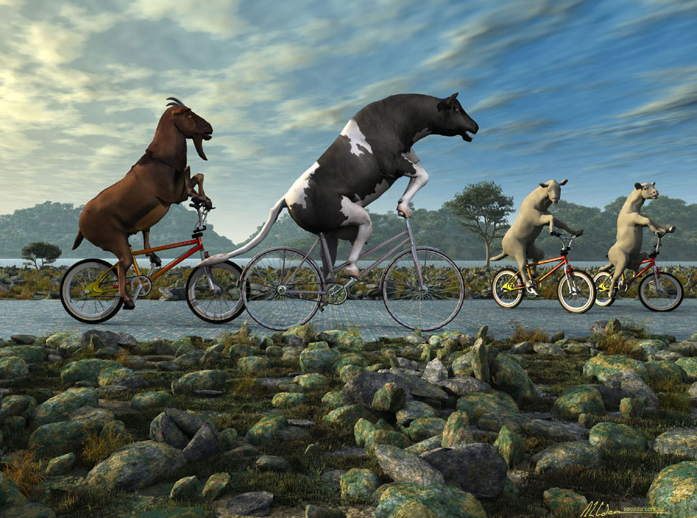 Gallery design landscapes 3d shareware digital wallpapers