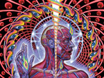 alex grey art