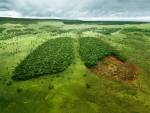 WWF, Nature, Photo Manipulation