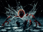 Birth of the Spider Warrior